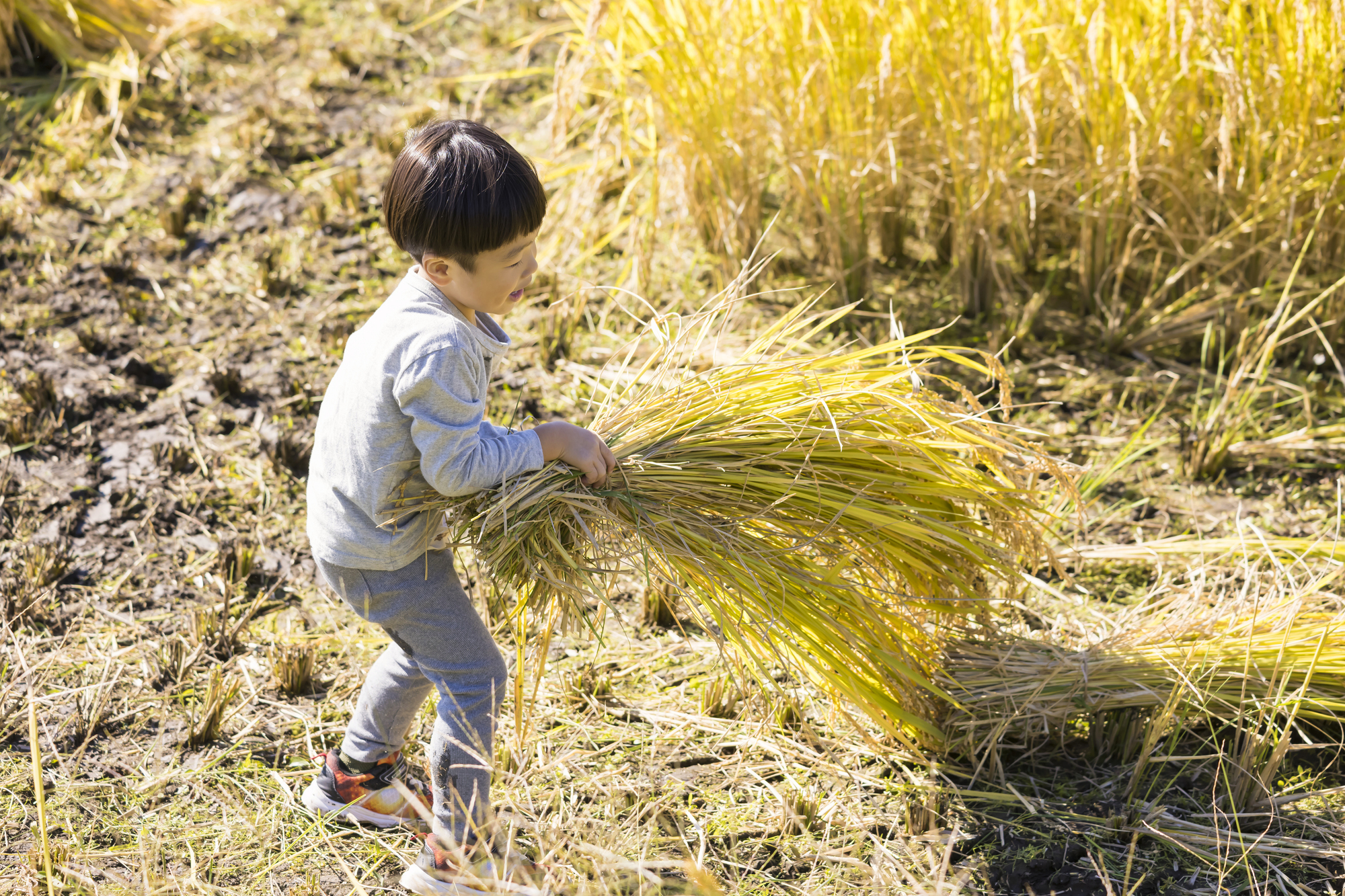 自然との触れ合いと地域の特性を活かした植栽